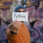 python data